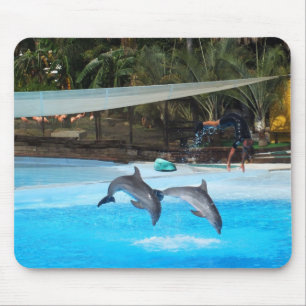 Two dolphins mouse mat