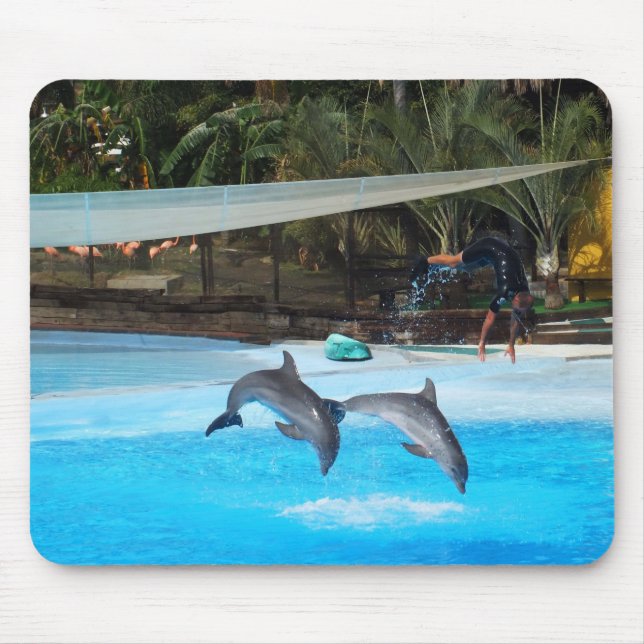 Two dolphins mouse mat (Front)