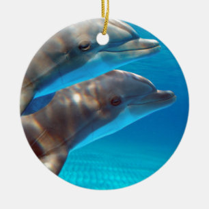 Two Dolphins swimming Ceramic Tree Decoration