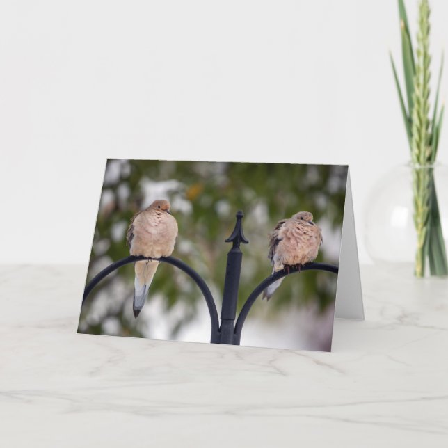 Two Doves Blank Note Card (Front)