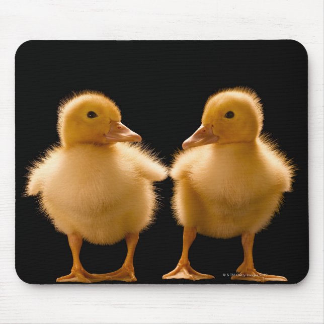 Two ducklings looking at one another mouse mat (Front)