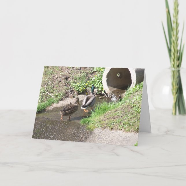 Two Ducks Moving To a New Home Card (Front)