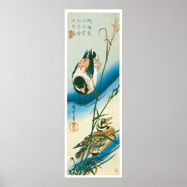 Two Ducks Swimming Among Reeds Poster (Front)