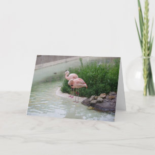 "Two Ducks & Two Flamingos" Thank You Card