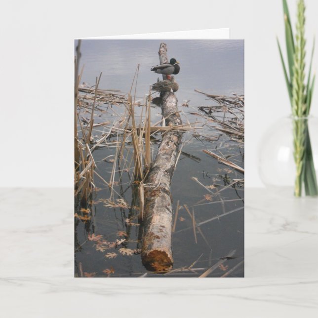 "Two Ducks Upon a Log" Thank You Card (Front)