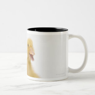 Two ducks with Easter Eggs Two-Tone Coffee Mug