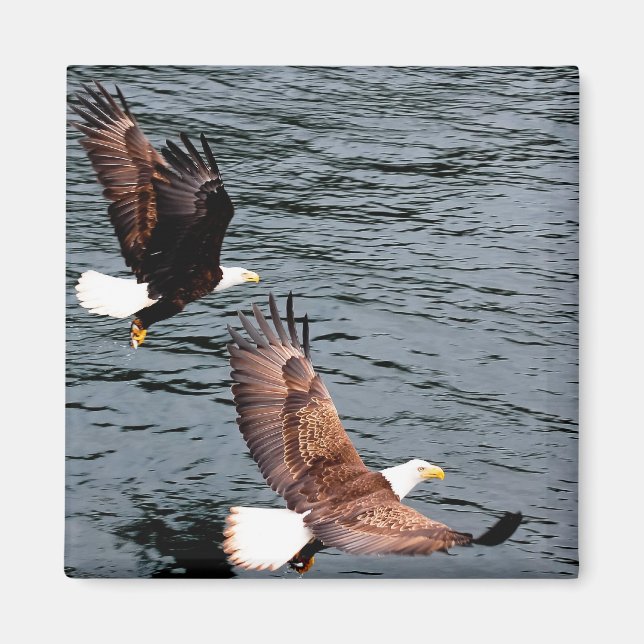 Two eagle magnet (Front)