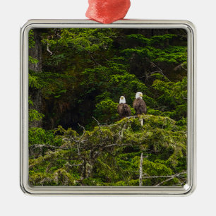 Two Eagles Perched Painterly Metal Tree Decoration