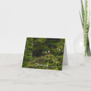 Two Eagles Perched Painterly Thank You Card