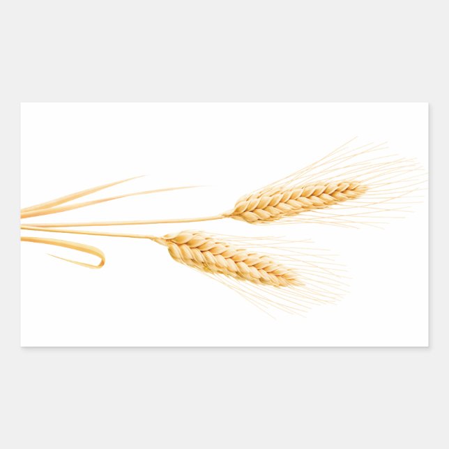 Two ears of wheat rectangular sticker (Front)