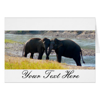 Two Elephants