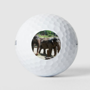 Two Elephants Golf Balls