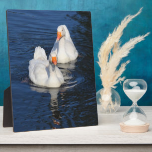 Two Emden Geese II Plaque