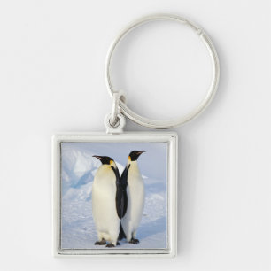 Two Emperor Penguins in Antarctica Key Ring