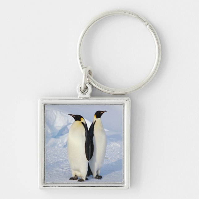Two Emperor Penguins in Antarctica Key Ring (Front)
