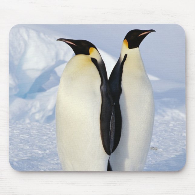 Two Emperor Penguins in Antarctica Mouse Mat (Front)