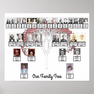 Two Families Pink Fractal Tree Photo Name Poster