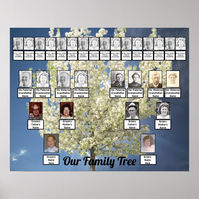 Two Family Trees Blossoming Tree Photo | Blue Sky Poster (Front)