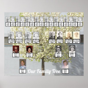 Two Family Trees Blossoms Photo   Name Poster