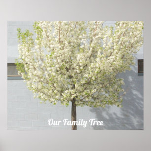 Two Family Trees Blossoms Photo   Name Poster