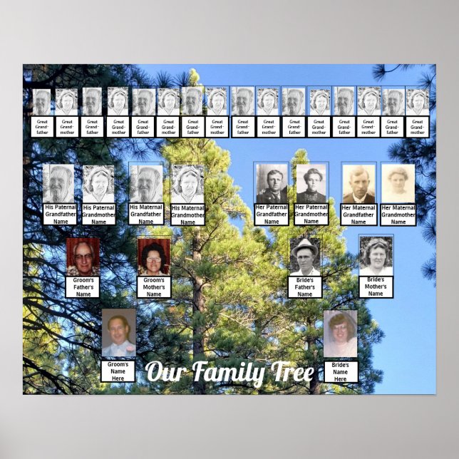 Two Family Trees Pine Trees Photo | Name Poster (Front)