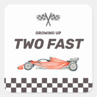 Two Fast Race Car 2nd Boy's Birthday