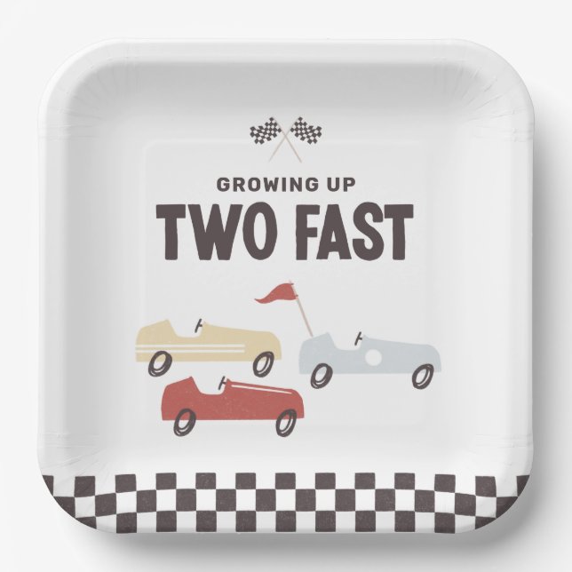 Two Fast Race Car Birthday Party Paper Plate (Front)
