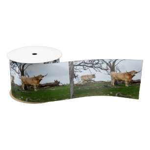 Two Fawn Highland Cows in Peaceful Country Lands, Satin Ribbon