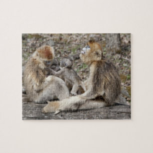 Two female Golden Monkeys with newborns Jigsaw Puzzle