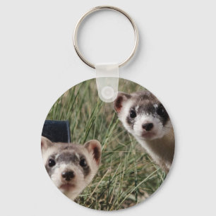 Two Ferrets Key Ring