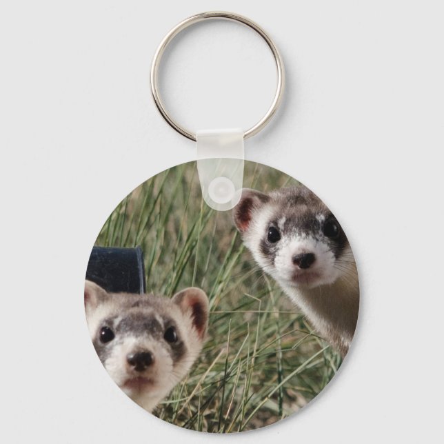 Two Ferrets Key Ring (Front)