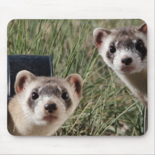 Two Ferrets Mouse Mat