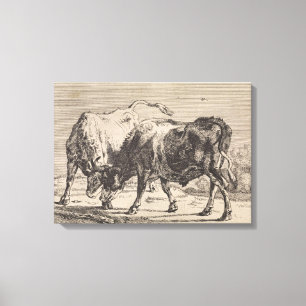 Two Fighting Bulls (by Paulus Potter) Canvas Print
