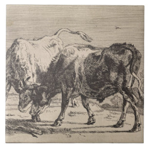 Two Fighting Bulls (by Paulus Potter) Tile