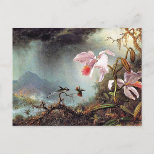 Two Fighting Hummingbirds, famous painting Postcard