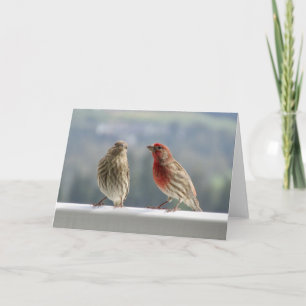 Two Finches Flirting. Card