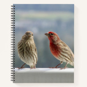 Two Finches Flirting. Notebook