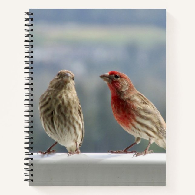 Two Finches Flirting. Notebook (Front)
