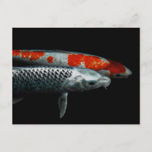 Two Fish Postcard