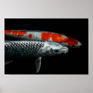 Two Fish Poster