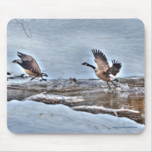 Two Flying Canada Geese & Snow Wildlife Photo Mouse Mat