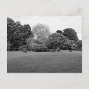 Two for Joy Postcard