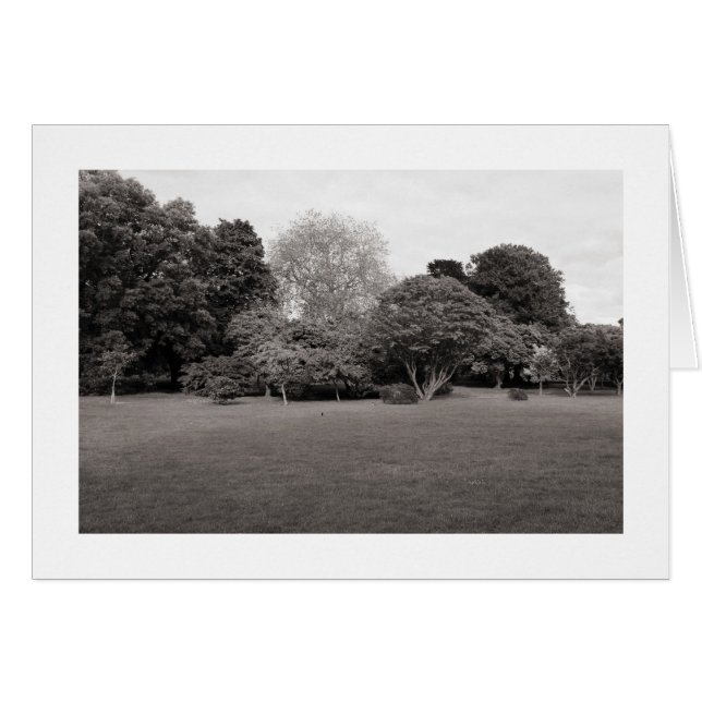 Two for Joy (Warm Toned BW Bordered) (Front Horizontal)