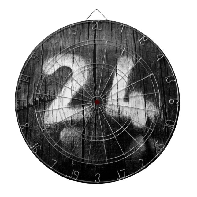two four post dartboard (Front)