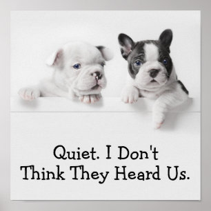 Two French Bulldog Puppies Peer Over A Wall Poster