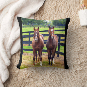 Two Friends Cushion