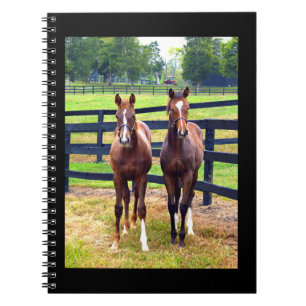 Two Friends Notebook