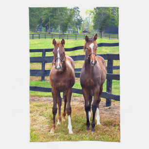 Two Friends Tea Towel