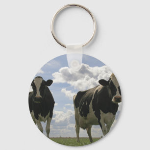 Two Friesian cows Key Ring