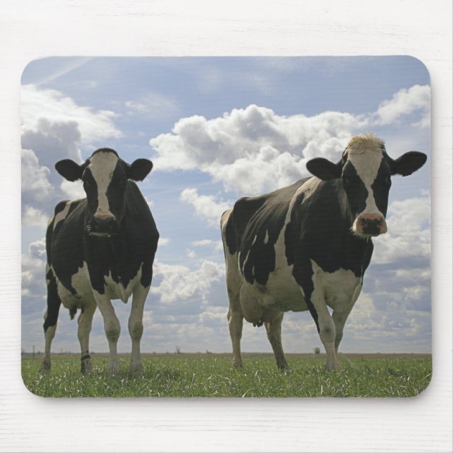 Two Friesian cows Mouse Mat (Front)